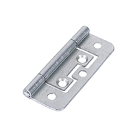 Back Flap - Flush - Lift Off Hinges - Steel