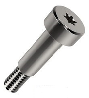 Torx Drive Shoulder Screws